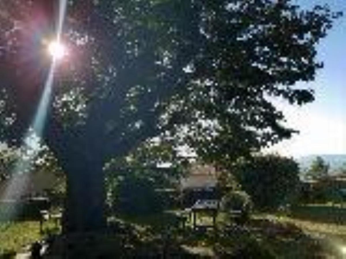 Estalagem Chateau De Et Table D'hotes
