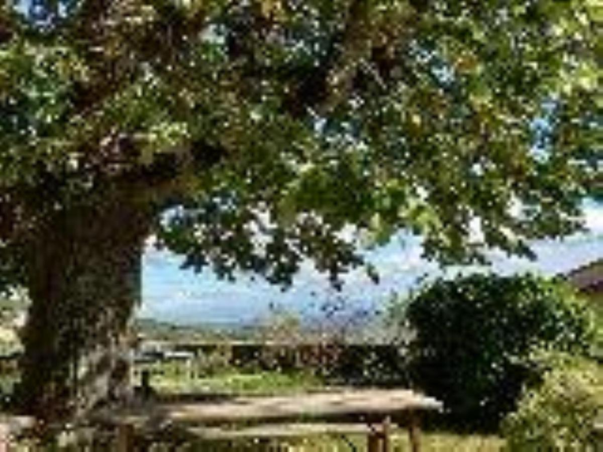 Chateau De 3* Riverie